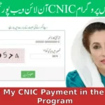 How Can I Check My CNIC Payment in the EHSAS Program?