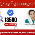 How Can I Check My Benazir Income 25,000 Online by CNIC? A Step-by-Step Guide