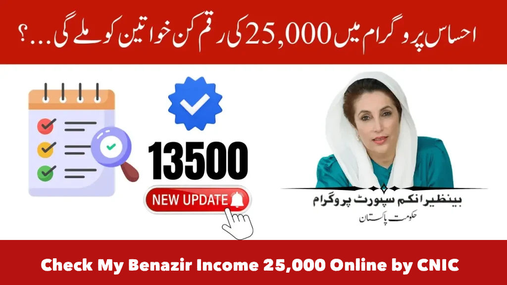 How Can I Check My Benazir Income 25,000 Online by CNIC? A Step-by-Step Guide