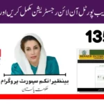 Ehsaas 8171 Web Portal Complete Online Registration Process for 2025
