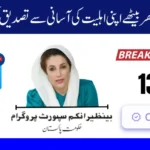 BISP 8171 CNIC Check 2025