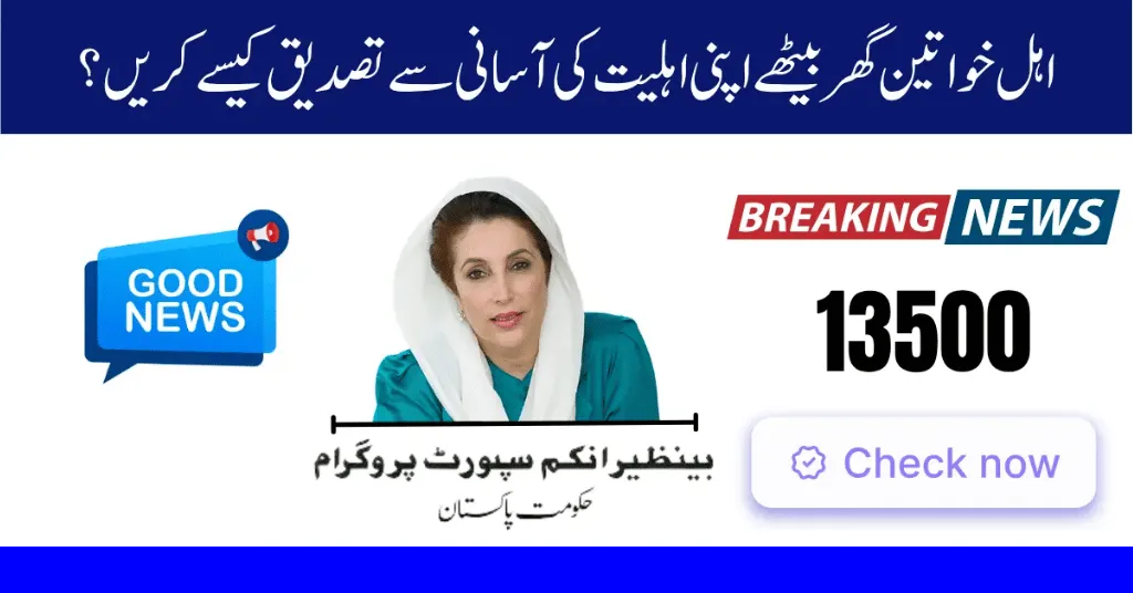 BISP 8171 CNIC Check 2025