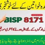 Ehsaas Program Registration 8171 NADRA