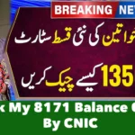 How Do I Check My 8171 Balance Online By CNIC?