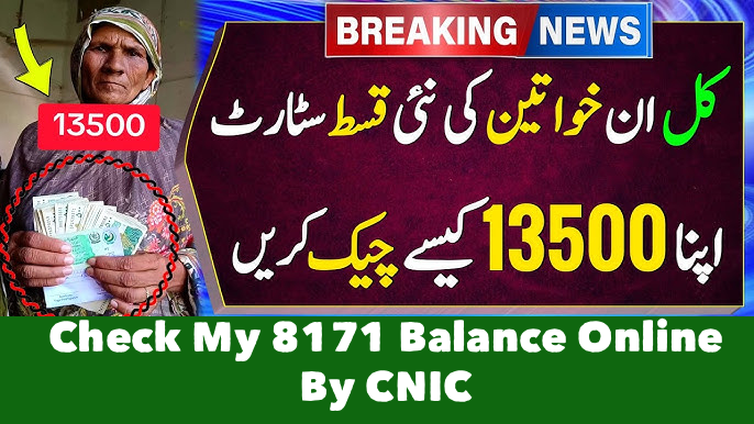 How Do I Check My 8171 Balance Online By CNIC?